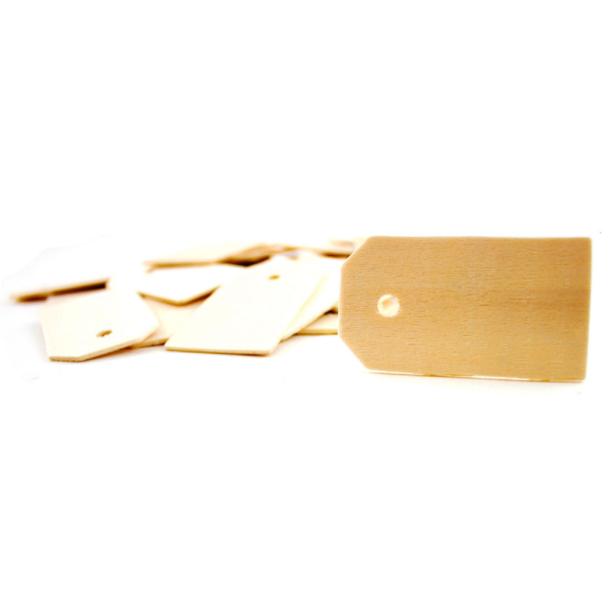 Blank Wooden Tags (Set of 50)