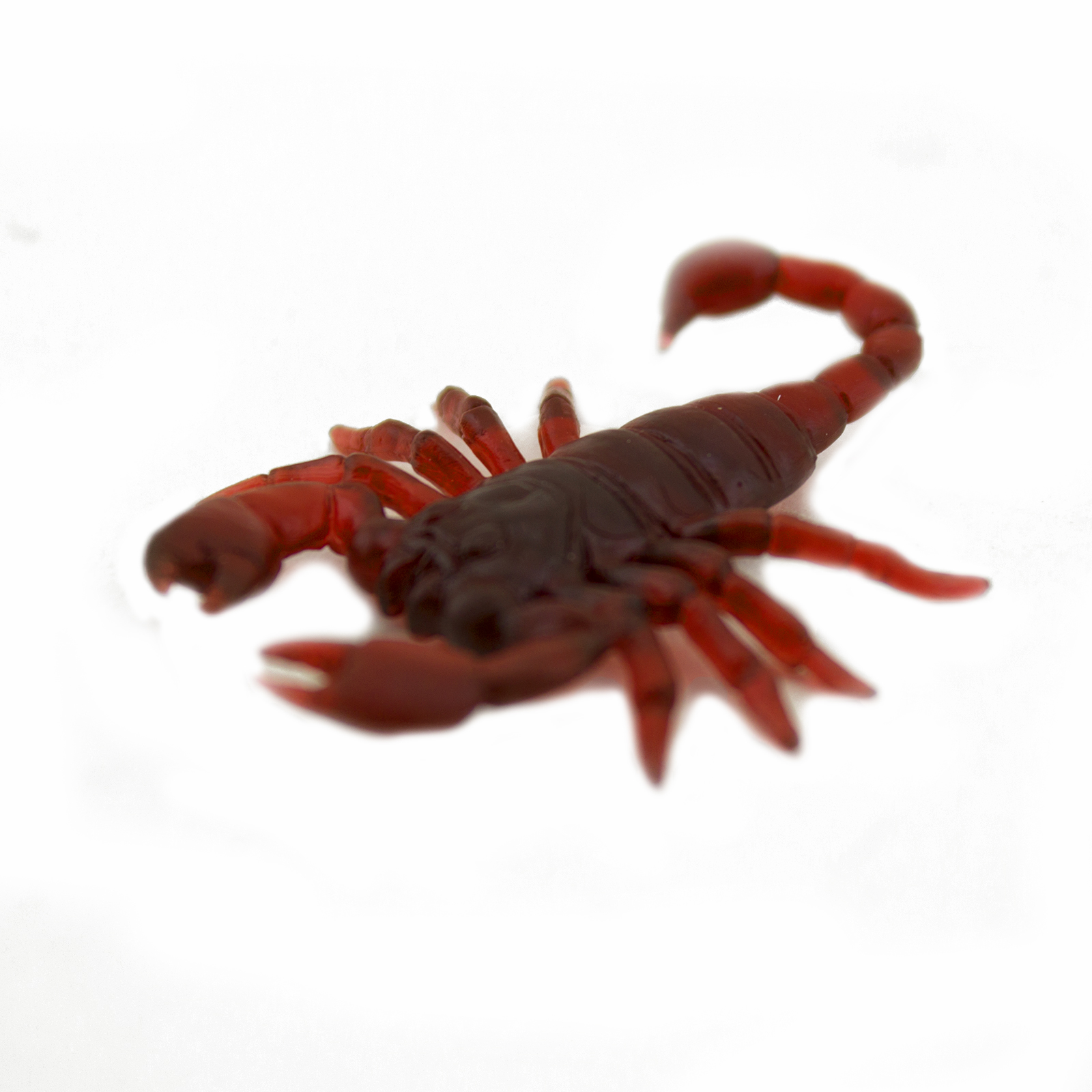 Fake Plastic Scary Joke Toy Prank Insects Centipede Lizard Scorpion ...